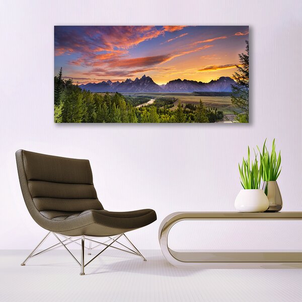 Tablou pe panza canvas Mountain Natural Pădurea Verde Gri