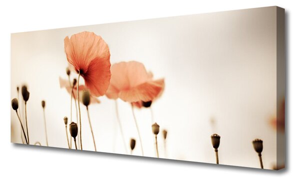 Tablou pe panza canvas Maci Floral Red