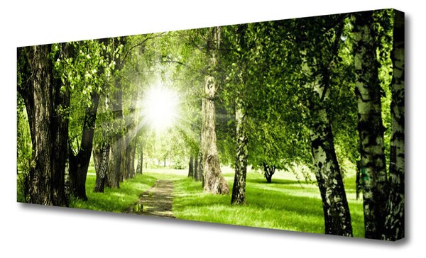 Tablou pe panza canvas Forest Soare Potecă Natura Brun Verde Galben