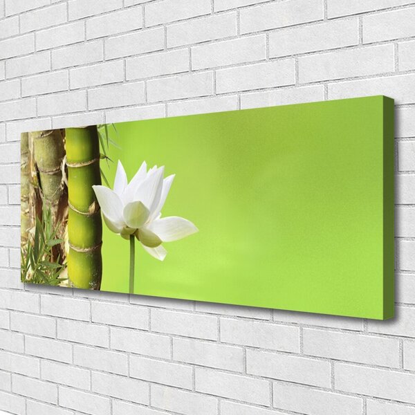 Tablou pe panza canvas Bamboo peduncul Floral Verde Alb