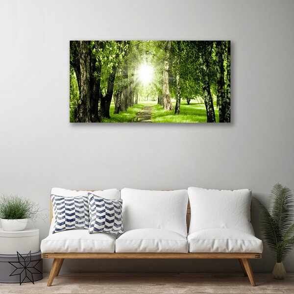 Tablou pe panza canvas Forest Soare Potecă Natura Brun Verde Galben