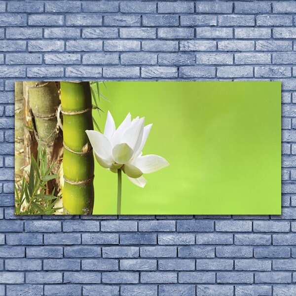 Tablou pe sticla Bamboo peduncul Floral Verde Alb