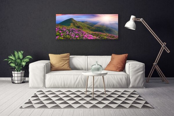 Tablou pe panza canvas Muntii Meadow Flori Peisaj Albastru Verde Roz
