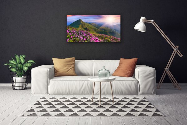 Tablou pe panza canvas Muntii Meadow Flori Peisaj Albastru Verde Roz