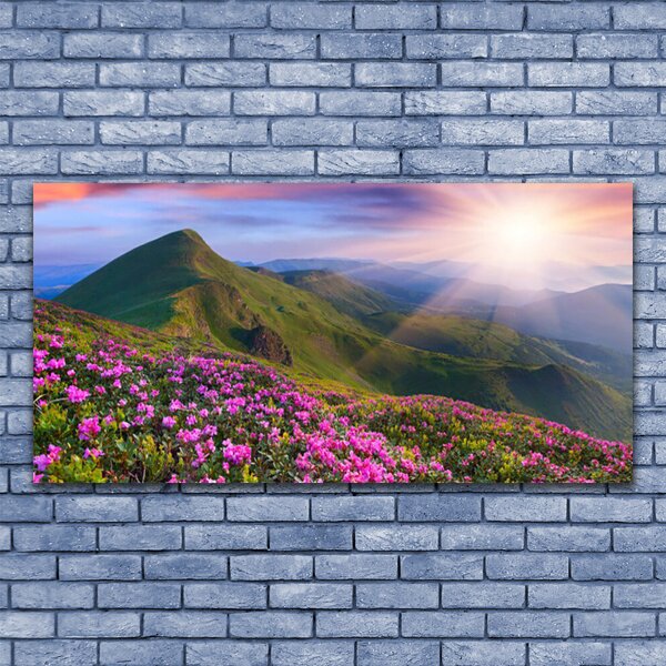 Tablou pe panza canvas Muntii Meadow Flori Peisaj Albastru Verde Roz