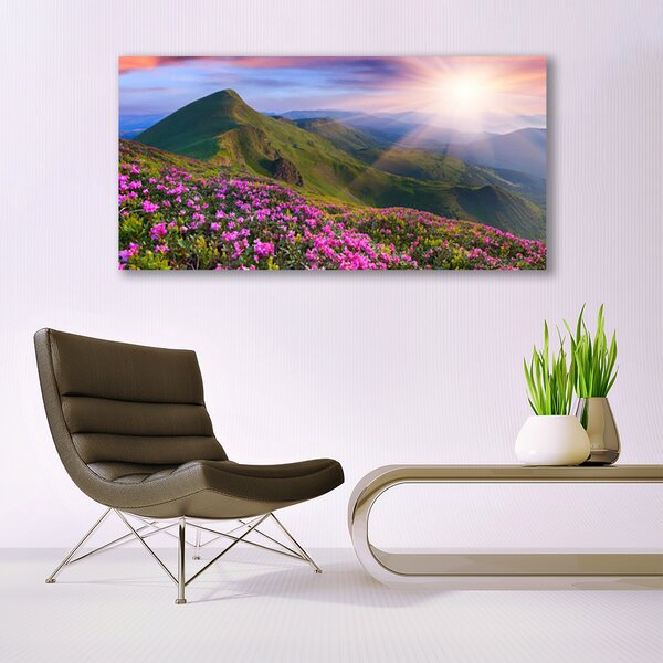 Tablou pe panza canvas Muntii Meadow Flori Peisaj Albastru Verde Roz