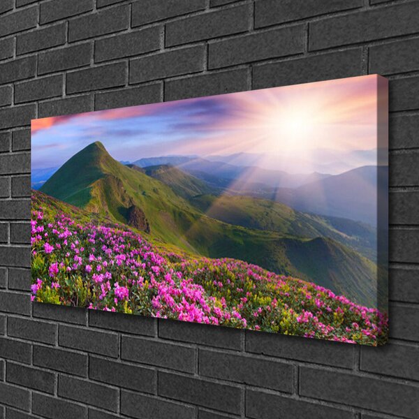 Tablou pe panza canvas Muntii Meadow Flori Peisaj Albastru Verde Roz