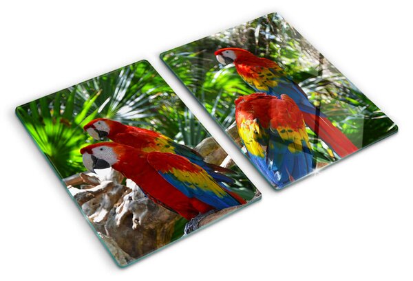 Tocător din sticlă Papagali într-un cadru tropical