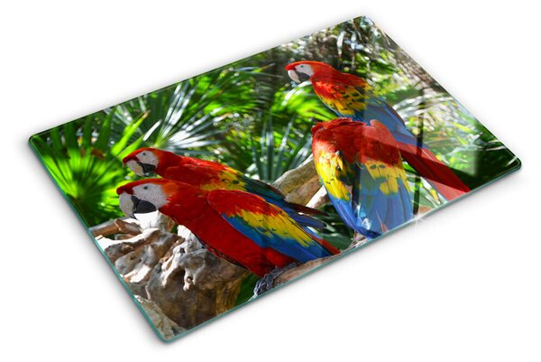 Tocător din sticlă Papagali într-un cadru tropical