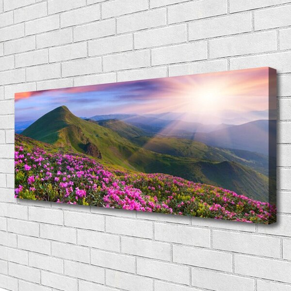 Tablou pe panza canvas Muntii Meadow Flori Peisaj Albastru Verde Roz
