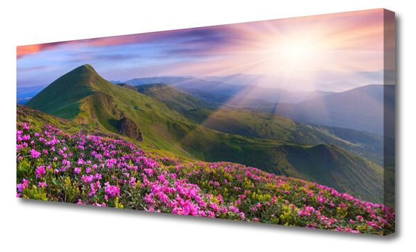 Tablou pe panza canvas Muntii Meadow Flori Peisaj Albastru Verde Roz