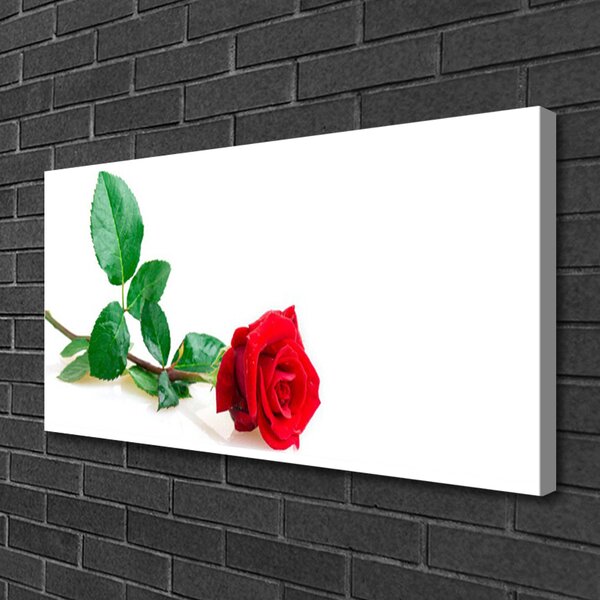 Tablou pe panza canvas Rose Floral Red