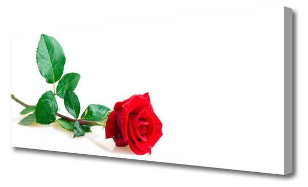 Tablou pe panza canvas Rose Floral Red