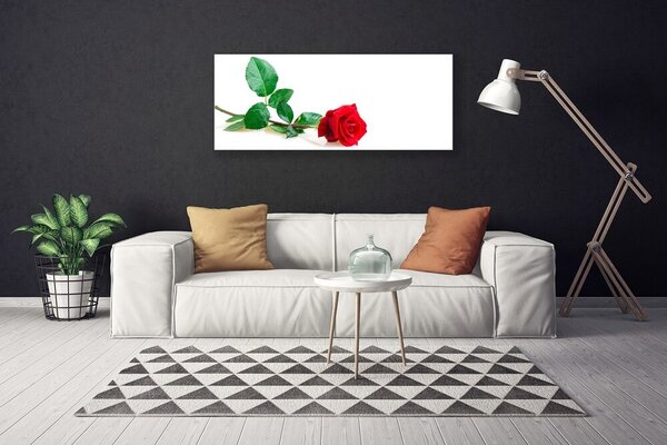 Tablou pe panza canvas Rose Floral Red