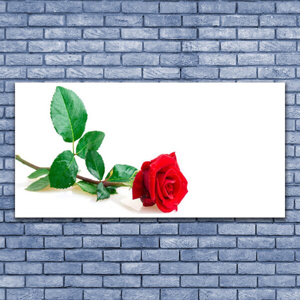 Tablou pe sticla Rose Floral Red