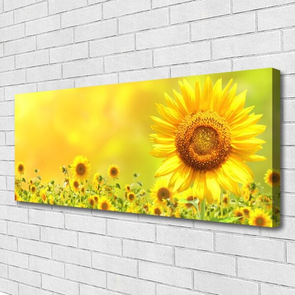 Tablou pe panza canvas Floarea soarelui Floral Galben Maro