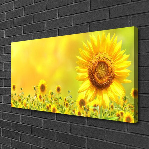 Tablou pe panza canvas Floarea soarelui Floral Galben Maro