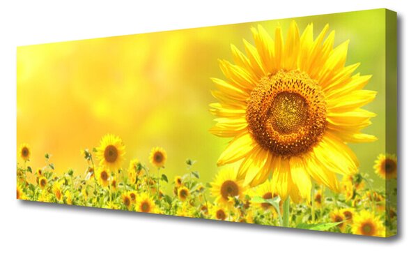 Tablou pe panza canvas Floarea soarelui Floral Galben Maro