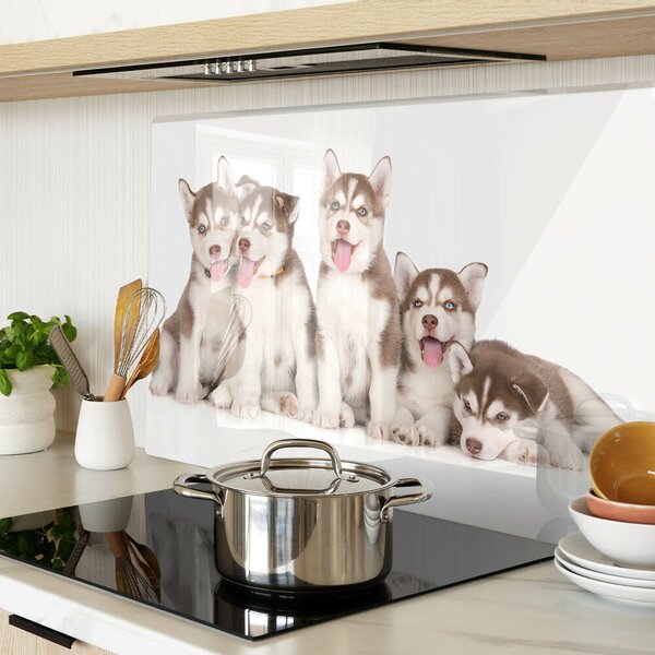 Tocător din sticlă Căței husky