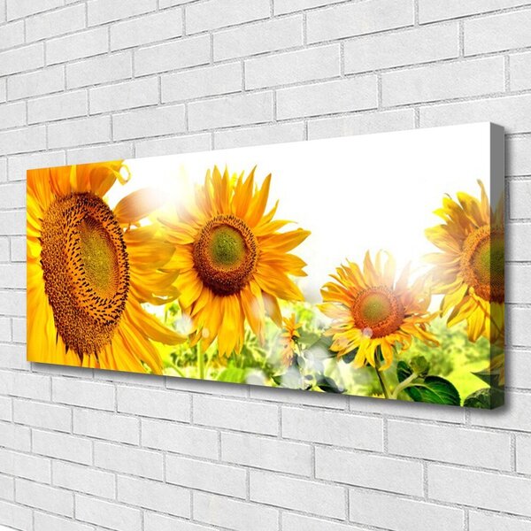 Tablou pe panza canvas Floarea soarelui Floral Galben Maro