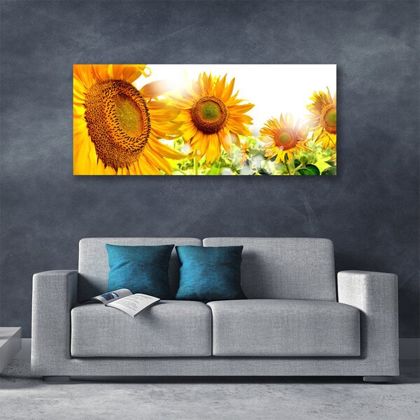 Tablou pe panza canvas Floarea soarelui Floral Galben Maro