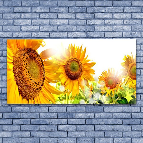 Tablou pe panza canvas Floarea soarelui Floral Galben Maro