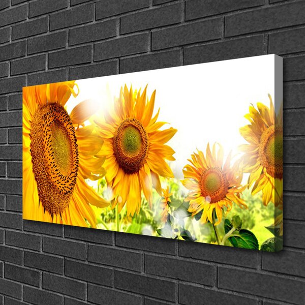 Tablou pe panza canvas Floarea soarelui Floral Galben Maro