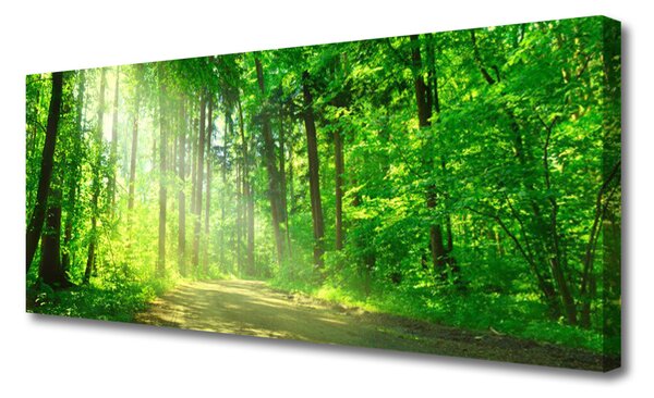 Tablou pe panza canvas Natural Pădurea Verde Maro