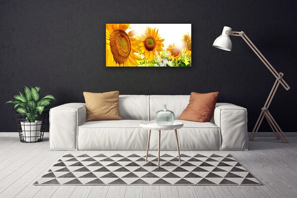 Tablou pe panza canvas Floarea soarelui Floral Galben Maro