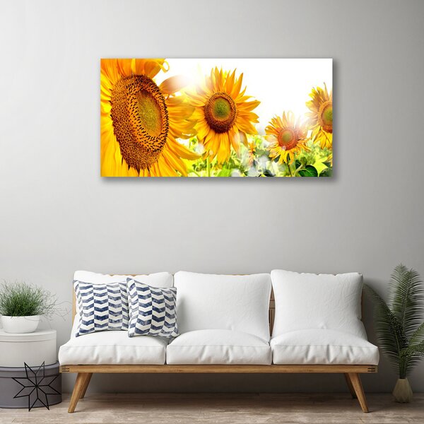 Tablou pe panza canvas Floarea soarelui Floral Galben Maro