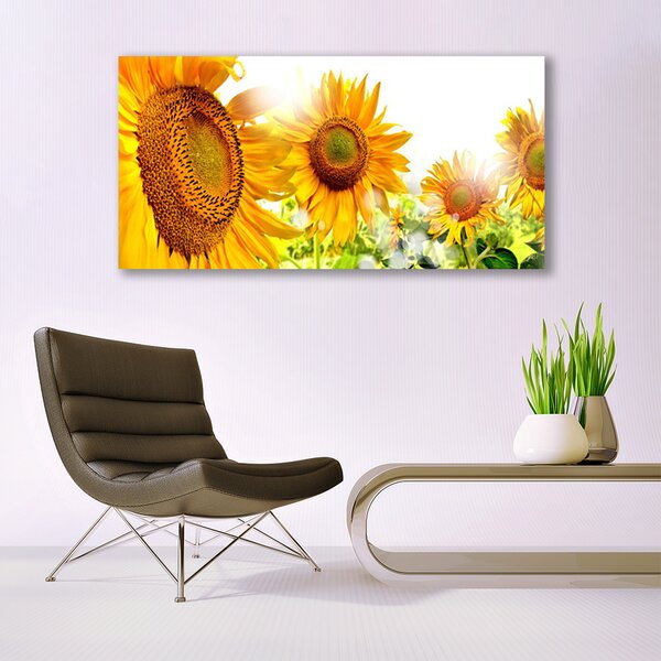 Tablou pe panza canvas Floarea soarelui Floral Galben Maro