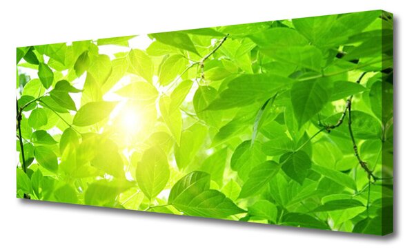 Tablou pe panza canvas Frunze verde florale