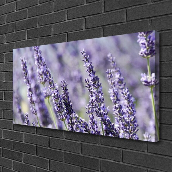 Tablou pe panza canvas Flori Floral violet