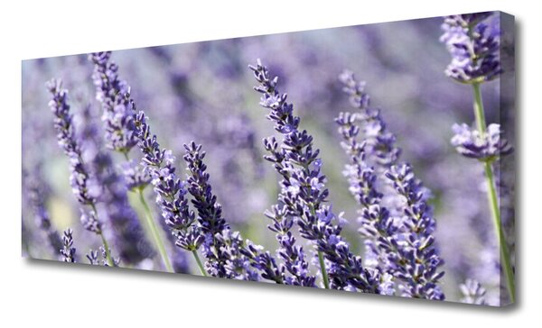 Tablou pe panza canvas Flori Floral violet