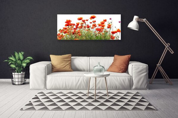 Tablou pe panza canvas Maci Natura Roșu