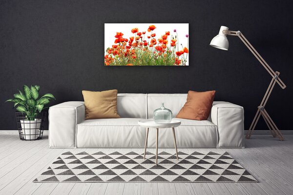 Tablou pe panza canvas Maci Natura Roșu