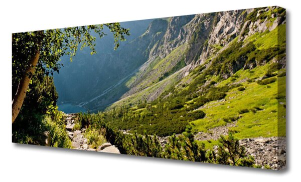 Tablou pe panza canvas Mountain Natural Pădurea Verde Gri