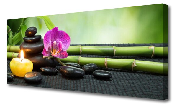 Tablou pe panza canvas Bamboo flori Stones Lumânare Arta Verde Roz Negru Galben