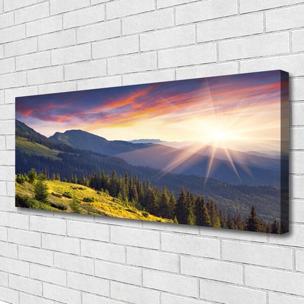 Tablou pe panza canvas Mountain Forest Soare Peisaj Albastru Verde Galben