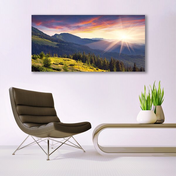 Tablou pe panza canvas Mountain Forest Soare Peisaj Albastru Verde Galben