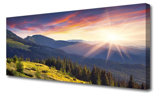 Tablou pe panza canvas Mountain Forest Soare Peisaj Albastru Verde Galben