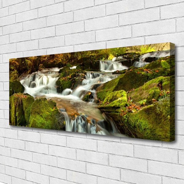 Tablou pe panza canvas Cascada Rocks Natura Alb Verde