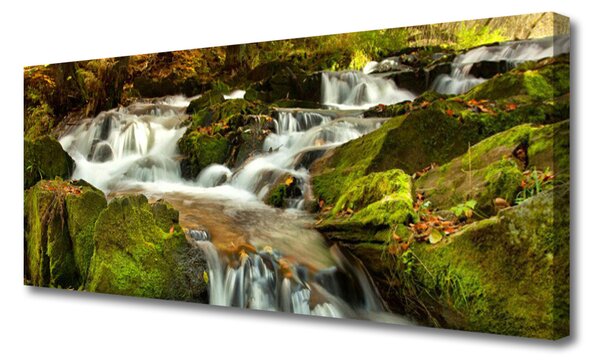 Tablou pe panza canvas Cascada Rocks Natura Alb Verde