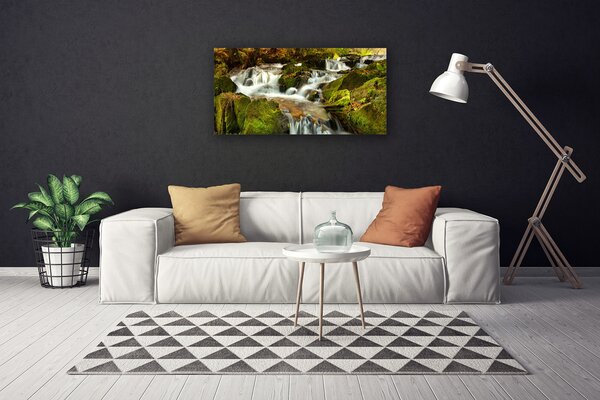 Tablou pe panza canvas Cascada Rocks Natura Alb Verde