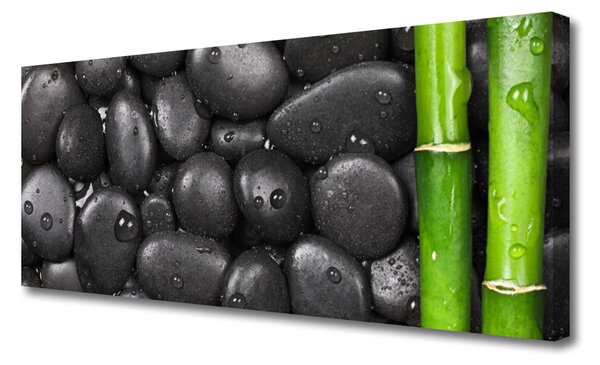 Tablou pe panza canvas Bamboo Stalk Stones Arta Verde Negru