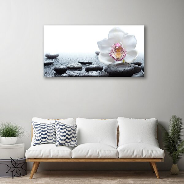 Tablou pe panza canvas Pietrele de flori Arta Alb Negru