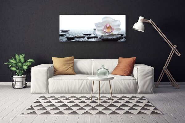 Tablou pe panza canvas Pietrele de flori Arta Alb Negru