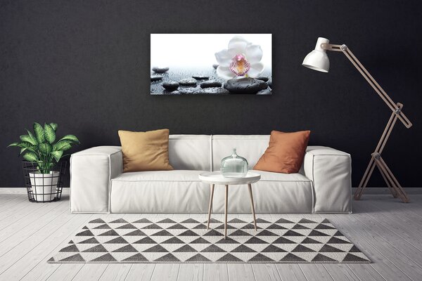 Tablou pe panza canvas Pietrele de flori Arta Alb Negru
