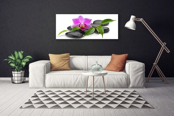 Tablou pe panza canvas Pietrele de flori Arta roz negru