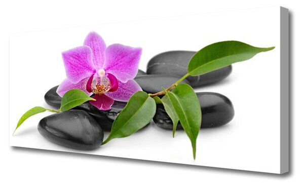 Tablou pe panza canvas Pietrele de flori Arta roz negru